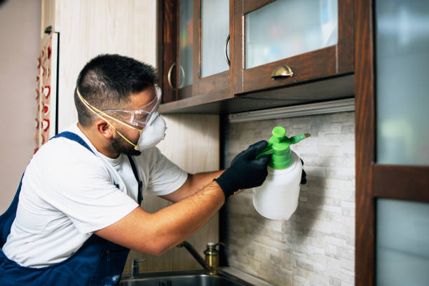 Best Spider Control Near Me  in East Honolulu, HI